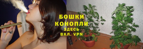 spice Каменногорск