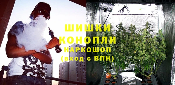 spice Каменногорск