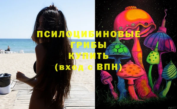 СК Касимов