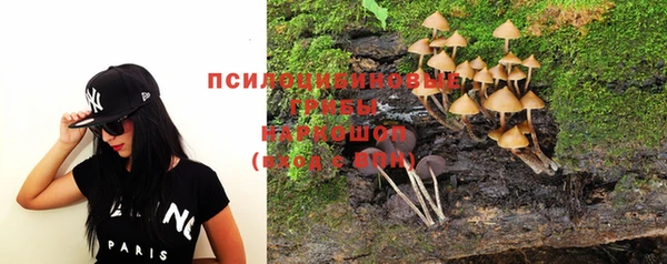 прущая мука Карпинск