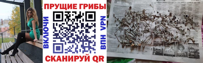 Купить закладки  Гороховец  Галлюциногенные грибы ЛСД 